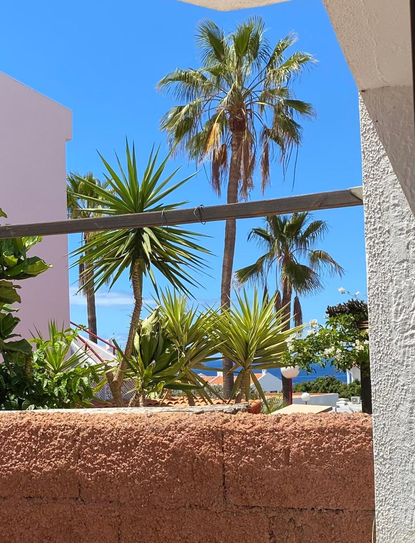 Bungalow Paraiso カジャオ・サルバヘ エクステリア 写真