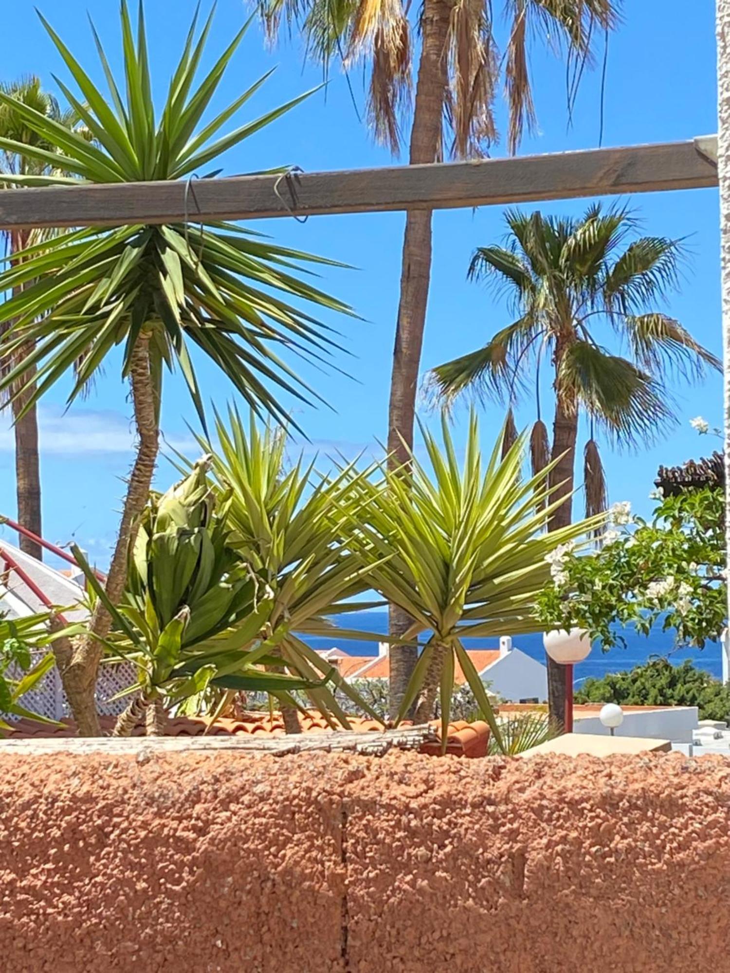 Bungalow Paraiso カジャオ・サルバヘ エクステリア 写真